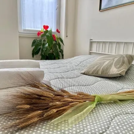 Apartman Holyday Pallanza *